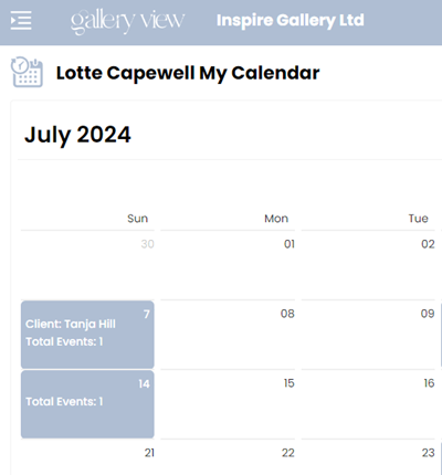 Consultant Calendar — Gallery View CRM demo