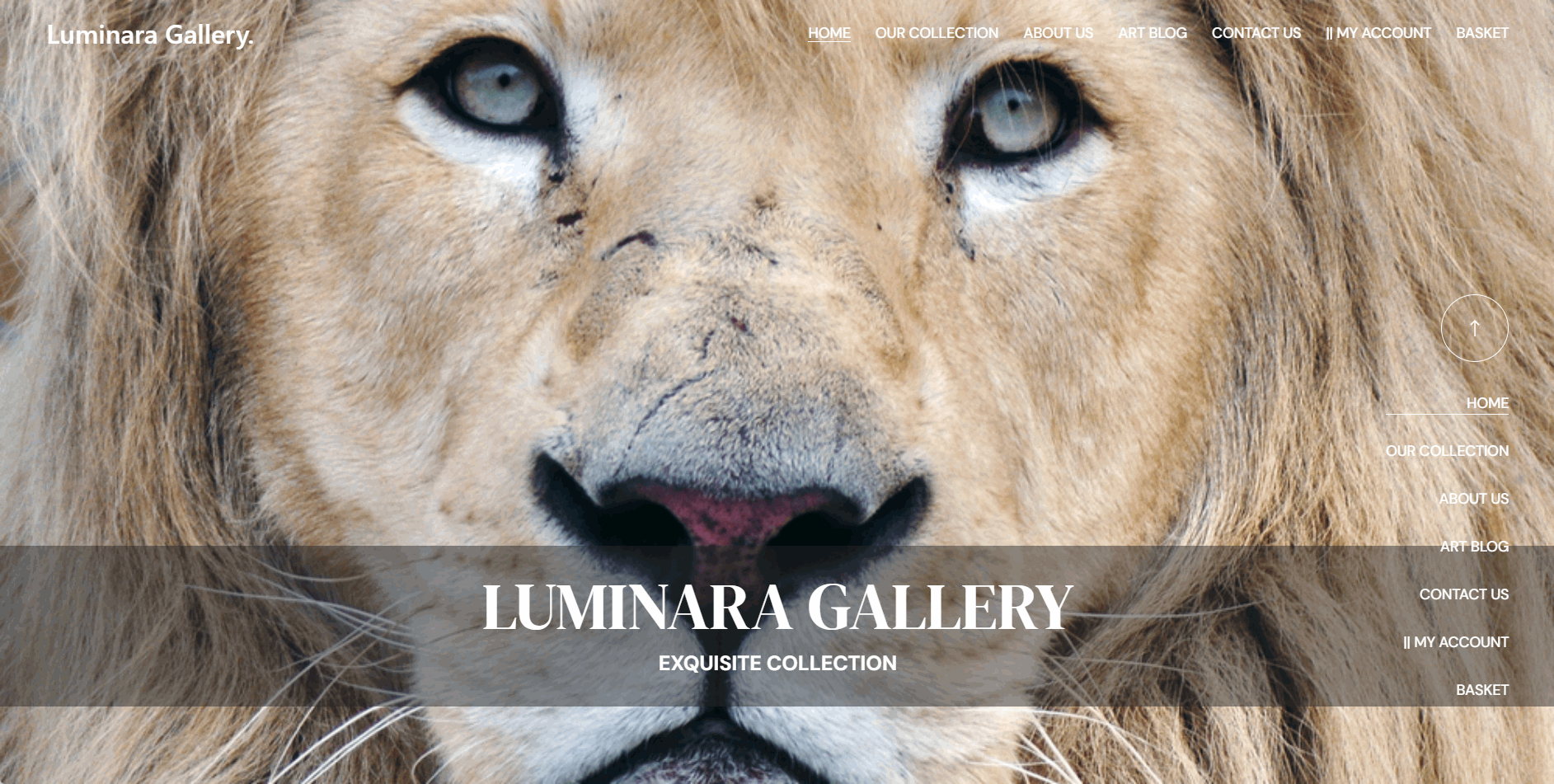 Luminara theme preview